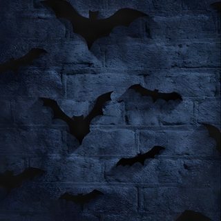 bats flying in the night sky over a brick wall with black paint on it's surface Navy Blue Halloween Bat Iphone, Bats Iphone, Dark Bat, Iphone Vintage, Kids, Vintage, black