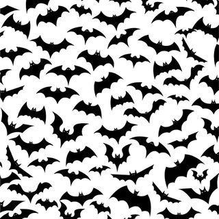 black and white silhouettes of bats flying in the sky, seamless background illustration Halloween Bat For Walls Bat Background Images, Bat Background Hd, Bat Silhouette, Bats Background, snow