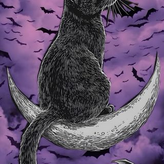 a cat sitting on the moon with bats flying around Feline Halloween - Black On Lavender Memes, dim gray