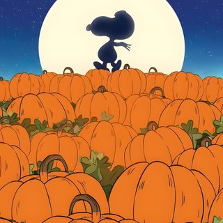 a cartoon character standing in the middle of a field of pumpkins Charlie Brown Halloween Halloween Watch, Backgrounds, Halloween, Snoopy, chocolate