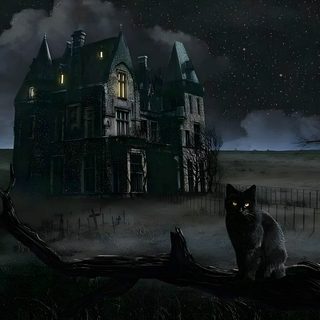 a black cat sitting on top of a tree branch in front of a creepy house Vintage Halloween- Bobcats Castle Haunted Cat, Gothic Cat Background, Scary House Cat, black
