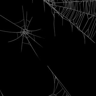spider webs are shown in black and white Spider Web Halloween Spider Background Aesthetic, Iphone Black Spider Web, Old Spider Web,