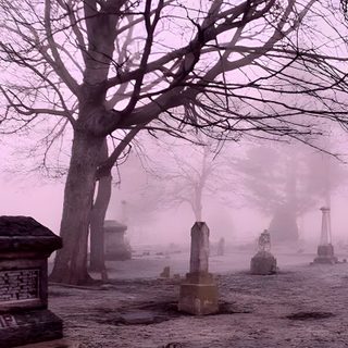 𝘯𝘰𝘵 𝘮𝘪𝘯𝘦 <3 #halloween #pink #cute #creepy #spooky #ideas #october #kawaii #scary #theme Cute Graveyard Background, Cemetery Background Aesthetic, Graveyard Background Aesthetic, Foggy Cemetery Background, Kawaii Graveyard, Graveyard Bg, Purple Misty Cemetery Scene, Pink Goth Aesthetic Wallpaper Laptop, Pink Cemetery Pink Halloween Laptop Cute Graveyard Background, Cemetery Background Aesthetic, Graveyard Background Aesthetic, rosy brown