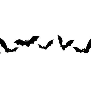 a group of bats flying in the sky Halloween Bat Laptop Desktop Spooky, Macbook Desktop Aesthetic Halloween, Halloween Imac, white