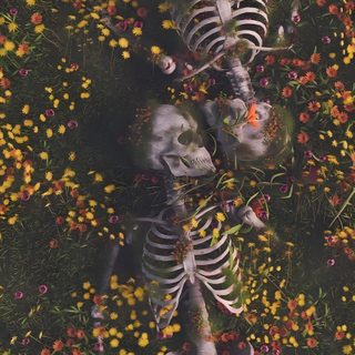an aerial view of two skeletons in a field of flowers Halloween Iphone Skeletons Iphone Skeleton Aesthetic, Backgrounds Aesthetic Skeleton, Aesthetic Skeleton Iphone, dark slate gray