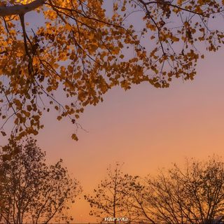 the sun is setting behind some trees Halloween Sunrise Autumn Aesthetic Pc, Autumn Landscape Desktop Background, Autumn Park Desktop, sienna
