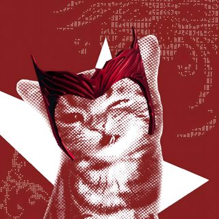 a cat with a bow tie and glasses on it's head in front of a star Halloween Wanda brown