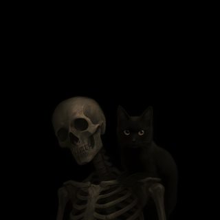 a cat sitting on top of a skeleton in the dark Halloween Skeleton Cat Halloween Iphone Backgrounds, Black Cat Aesthetic, Cute Cat Memes,