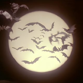 bats flying in front of a full moon Aesthetic Halloween Gif Bat Aesthetic Dark, Cryptid Aesthetic, Dark Academia Bat, Spooky Goth Aesthetic, black