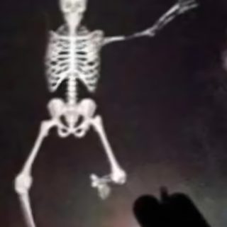 a skeleton is standing in the dark with its arms outstretched Goofy Ahh Halloween Mewing Skeleton, Black Ghost Meme, Ahh Skeleton, Thick Skeleton, Cursed Skeletons,