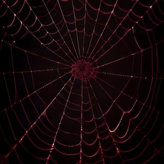 the inside of a spider web with water droplets on it's surface at night Spider Web Halloween black