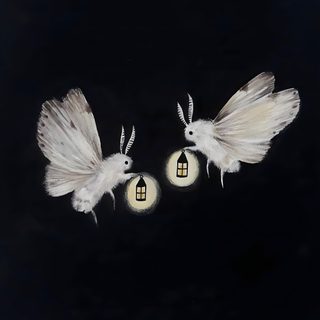 two white birds flying in the dark with their wings spread out and one is holding a lantern Halloween Moth Arte Dell'illustrazione, Arte Inspo, Fairytale Art, Pics Art, Pretty Art, black
