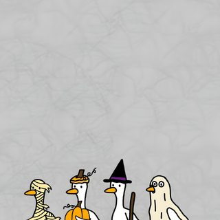 three ducks with witches hats and brooms on their heads are standing in a row Halloween Duck Summer Prints, Iphone Preppy, Duck, Cute Text Symbols, Pink Ipad, Cute Home Screens, silver