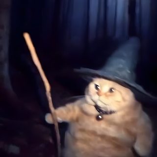 an orange cat wearing a witches hat and holding a stick in the woods at night Funny Halloween Gif Spooky Cat Funny, Halloween Cat Meme Pfp, Halloween Cat Meme Gif, black