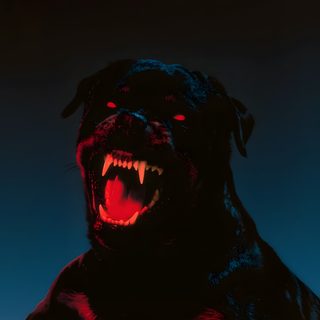 a black dog with its mouth open and it's teeth lit up in red Halloween Rottweiler Dog 101, Y2k Inspo, Fennec Fox, Black Dog, Rottweiler, New Tattoos,