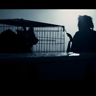 a person standing next to a cat in a cage Halloween 2 2009 2007 Michael Myers, Rob Zombie Halloween Movie, Rob Zombie Halloween Laurie, black