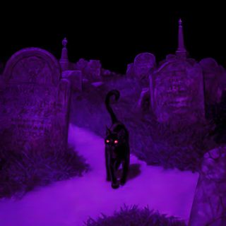 a black cat walking through a cemetery at night with purple light on it's face Purple Purple Edgy Aesthetic Halloween Neon Purple, Dark Purple Halloween Background, Black And Purple, midnight blue