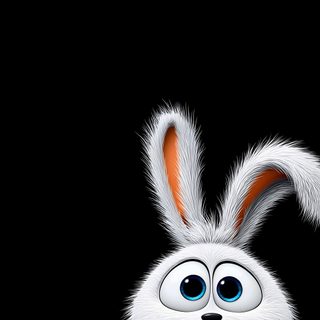 a cartoon bunny holding a lantern in the dark Halloween Bunny Hd black
