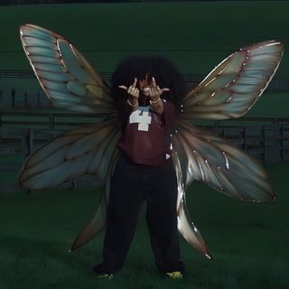 a person standing in the grass with a large butterfly wings on their shoulders and hands Sza Halloween Sza Chill, Sza Lana, Sza Music Video, Sza Singer, Purple Aura, 4k Pictures, black