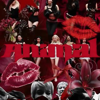 a collage of photos with red and black colors, including the words i love you Katseye Halloween Katseye, Jennie Lisa, Color Coding, Collage, Coding, Animals, maroon