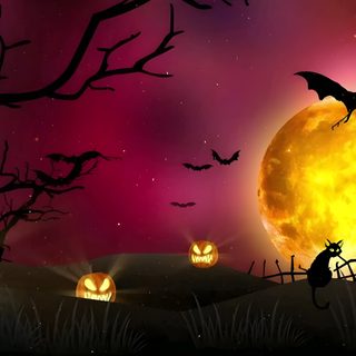 halloween scene with pumpkins and bats in front of a full moon Halloween Gif Pc Halloween Cemetery Background 4k, Animated Halloween Haunted House Background, Halloween Spooky Sounds, maroon