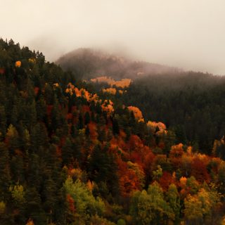the mountains are covered in colorful trees and foggy weather is coming down on them Halloween Mountain Nature, dark olive green