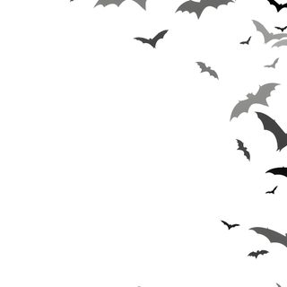 a group of bats flying in the sky Halloween Bats On White Bat Themed Background, Bat Silhouette, Bat Themed Design,