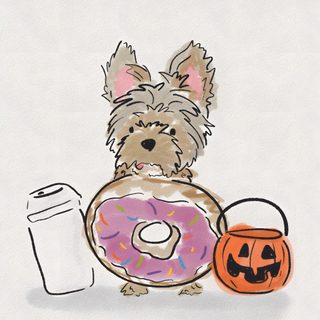 a small dog with a donut and cup of coffee Yorkie Halloween gainsboro