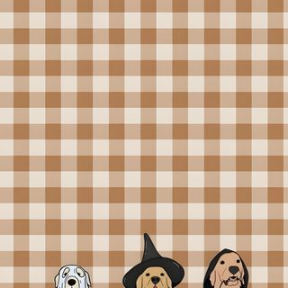 three dogs dressed up as witches and pumpkins on a checkered tablecloth background Golden Retriever Halloween Fall Dog Background, Cute Fall Backgrounds With Dogs, Dog Pumpkin, tan