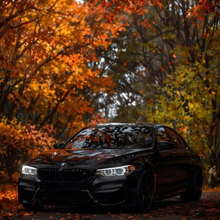 a black car parked in front of some trees with orange and yellow leaves on the ground Bmw Halloween Bmw Fall, Bmw M5 Cs Autumn, Bmw Fall Background, Bmw Autumn, Autumn Car Ideas, dark olive green