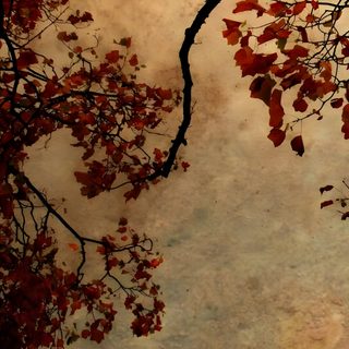an old fashioned street light with red leaves on it's branches and the sky in the background Vintage Halloween Desktop Free Vintage, Fall Background, Ipad Background, Cute Laptop, Mac, Ảnh Bìa, sienna