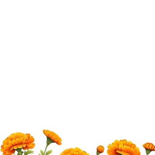an orange flowered plant with green leaves in front of a white background Halloween Marigold Crumpled Paper Texture Background, Crumpled Paper Textures, Wedding Background, white