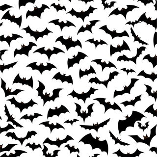 black and white bat silhouettes against a dark background for wallpaper or backdrop design Halloween Cute Bats Silhouette Bat Background Images, Bat Background Hd, Bat Silhouette, white