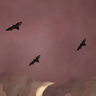 three bats flying in the sky over a full moon and clouds at night with pink hues Aesthetic Halloween Bats dim gray