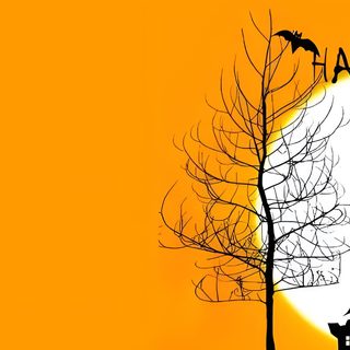 an image of halloween scene with pumpkins and witch's house in the background Halloween Fb Facebook Cover Photos Halloween, Halloween Facebook Cover, Halloween Fb Covers, dark orange