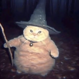 a cat wearing a witches hat and holding a stick Silly Halloween Witch Pfp, Wizard Dog Meme, Christmas Pfps Cats, Wizzard Cat, Evil Wizard Cat, dark slate gray
