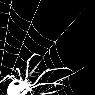 a spider sits on its web in the dark Halloween Iphone Aesthetic Black And White Grafite De Rua, Gothic, Dark Iphone, Superhero,