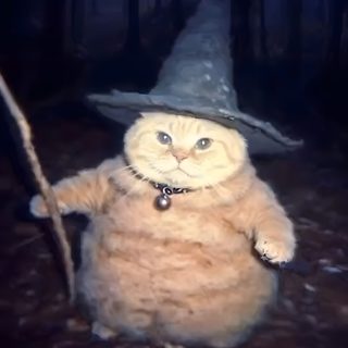 a cat wearing a witches hat and holding a stick Funny Halloween Aesthetic Witch Pfp, Wizard Dog Meme, Christmas Pfps Cats, Wizzard Cat, dark slate gray