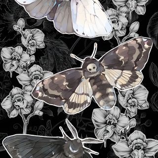 three moths sitting on top of flowers in front of black and white wallpapers Halloween Moth Moth Art, Goblin Art, Goth, Gothic, Aesthetic, Cute Backgrounds For Phones, dark slate gray