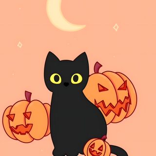 a black cat sitting next to two jack - o'- lanterns on a pink background Halloween Cat Gif Spooky Cat Gif, Aesthetic Gif, Halloween Art, Pumpkin Carving, Fall Trends, burlywood