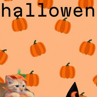 Preppy Halloween Cat light salmon