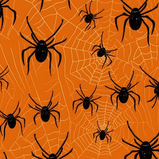 black and orange spider webs on an orange background Halloween Spiders At University Of Texas Halloween, chocolate