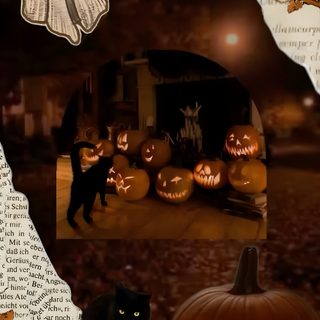 halloween collage with pumpkins, ghost and black cat in the background on an old book page Halloween Aesthetics maroon