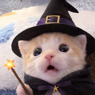 a kitten wearing a witches hat and holding a wand Halloween Kittens Cats Pfp, Witches Cat, Halloween Aesthetic Cats, Cute Cat Costumes, rosy brown