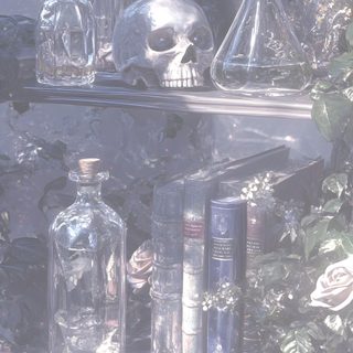 there are many bottles and skulls on the shelf Halloween Magic Potions Light Greysmall White Magic, Elixir, Alchemist Background, light slate gray
