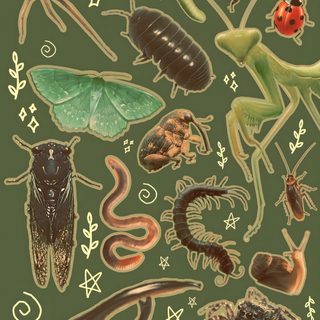 an image of bugs and insects on a green background Halloween Insects Cool Bugs, Pics Art, Cool Art, Bugs And Insects, Phone Backgrounds, dark olive green