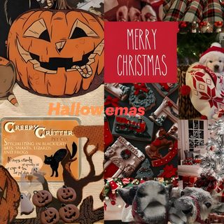 Christmas And Halloween, Christmas Vs Halloween, Halloween Wallpaper, Fall Vibes, Holiday Fun, Cocoa, Black Cat, Halloween, Christmas Halloween Christmas Christmas And Halloween, Christmas Vs Halloween, Halloween, Fall Vibes, saddle brown