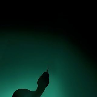 a black snake is glowing in the dark with its tail curled around it's neck Slytherin Halloween Slytherin Aesthetic Iphone, Slitheryn Aesthetic, Slytherin Lockscreen, black