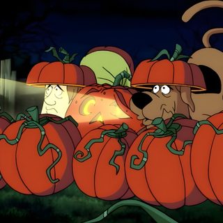 a dog in a pumpkin costume is surrounded by lots of pumpkins Scooby Doo Halloween Laptop Yankee Candles, Scooby Doo Halloween, Scooby Doo Pictures, dark slate gray
