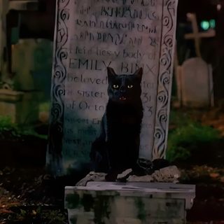 a black cat sitting on top of a grave in a cemetery at night with candles around it 90s Halloween Phone Halloween Widget Ideas, Halloween Movie Iphone, Hocus Pocus Pfp Aesthetic, black